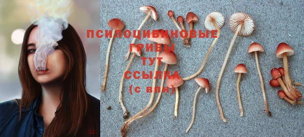 mix Алексин
